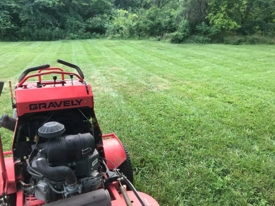 lawn